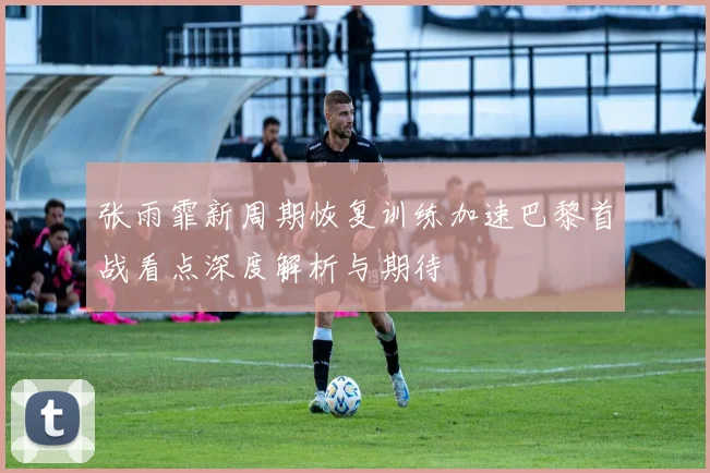 张雨霏新周期恢复训练加速巴黎首战看点深度解析与期待
